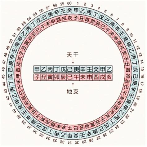 天干地支號碼|干支对照表